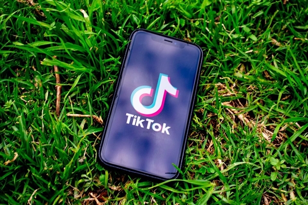 字节系产品全线开花！TikTok蝉联2024全球非游戏应用双冠王缩略图